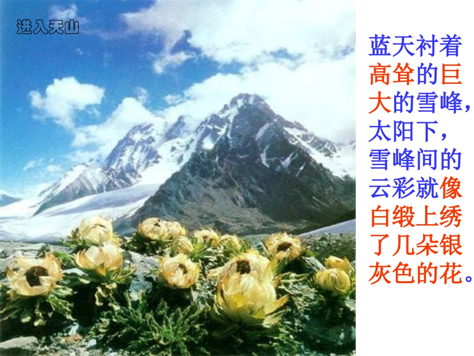 七月的天山 (2)_第3页