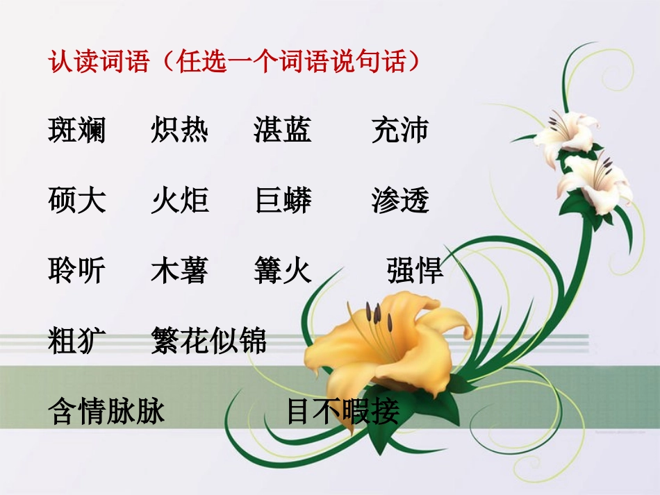 彩色的非洲新_第3页