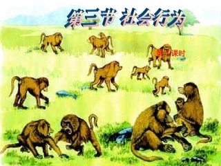 社会行为课件abc