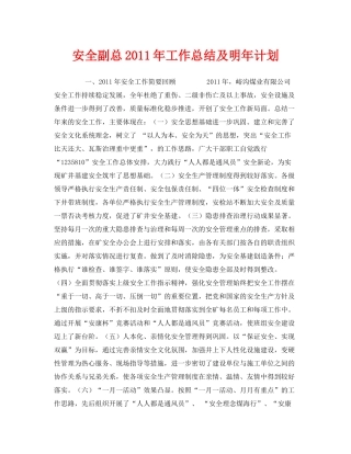 《安全管理文档》之安全副总年工作总结及明年计划