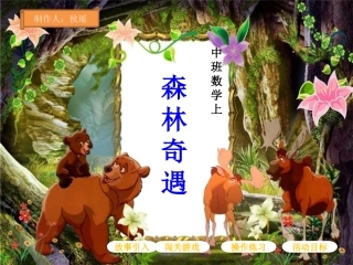 数学：森林奇遇