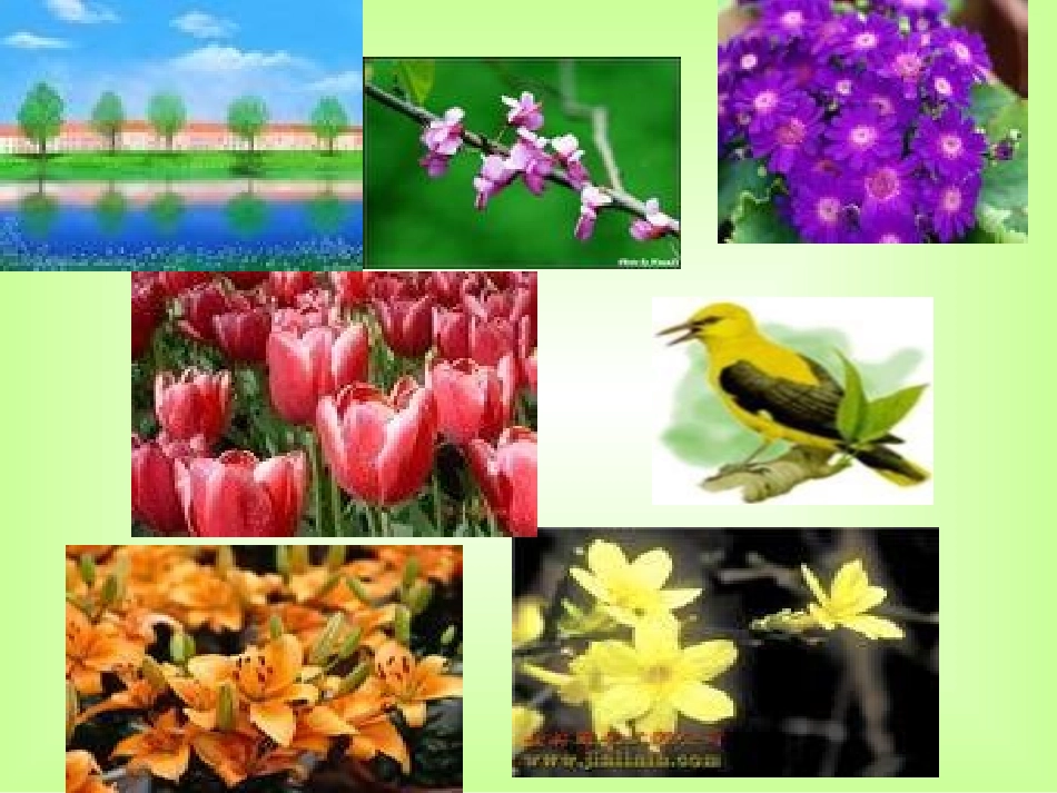 小学音乐《嘀哩嘀哩》课件_第3页