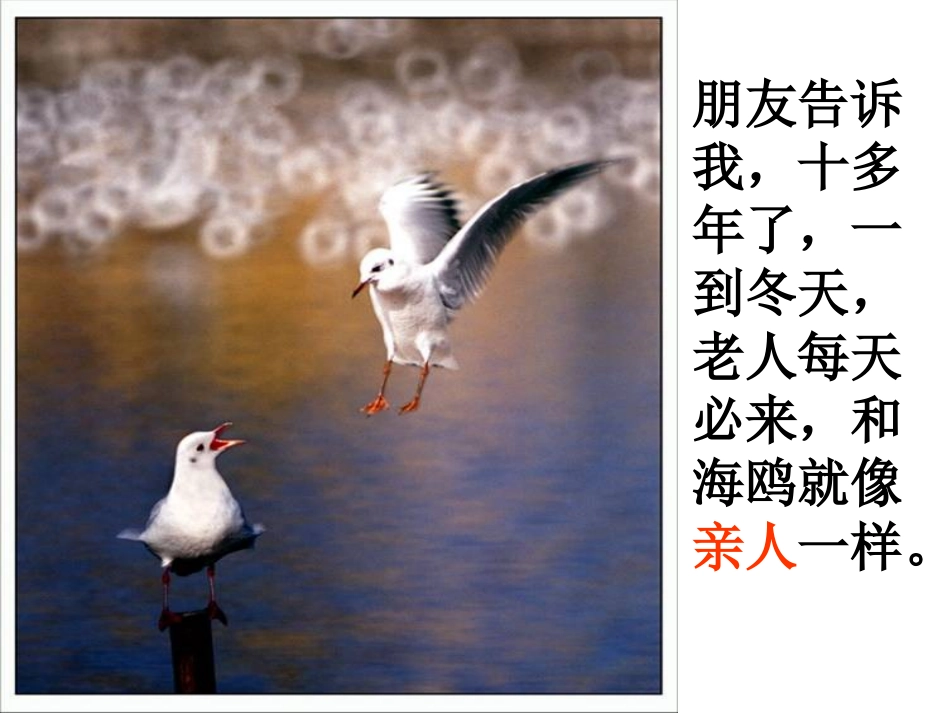 老人与海 (2)_第3页