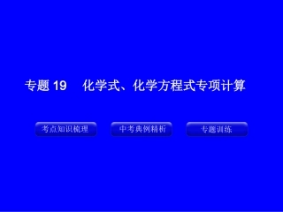 专题19_化学式、化学方程式专项计算