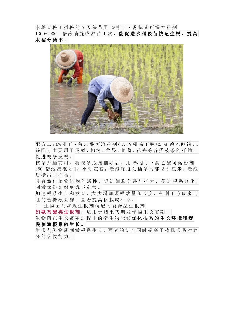 生根剂都有哪些配方及注意事项_第3页