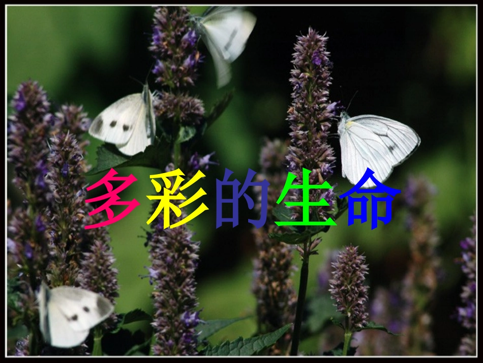 鄂教版小学科学五年级下册《多彩的生命》课件4_第1页
