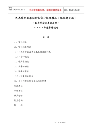 民办非企业单位财务审计报告模板
