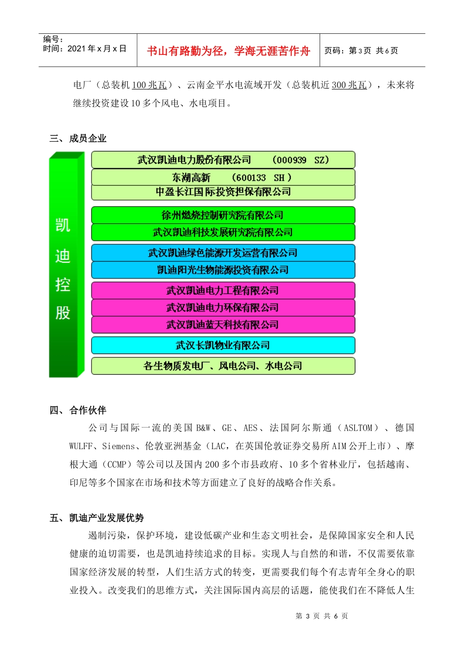 武汉凯迪控股投资有限公司_第3页