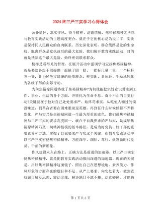 2024终三严三实学习心得体会