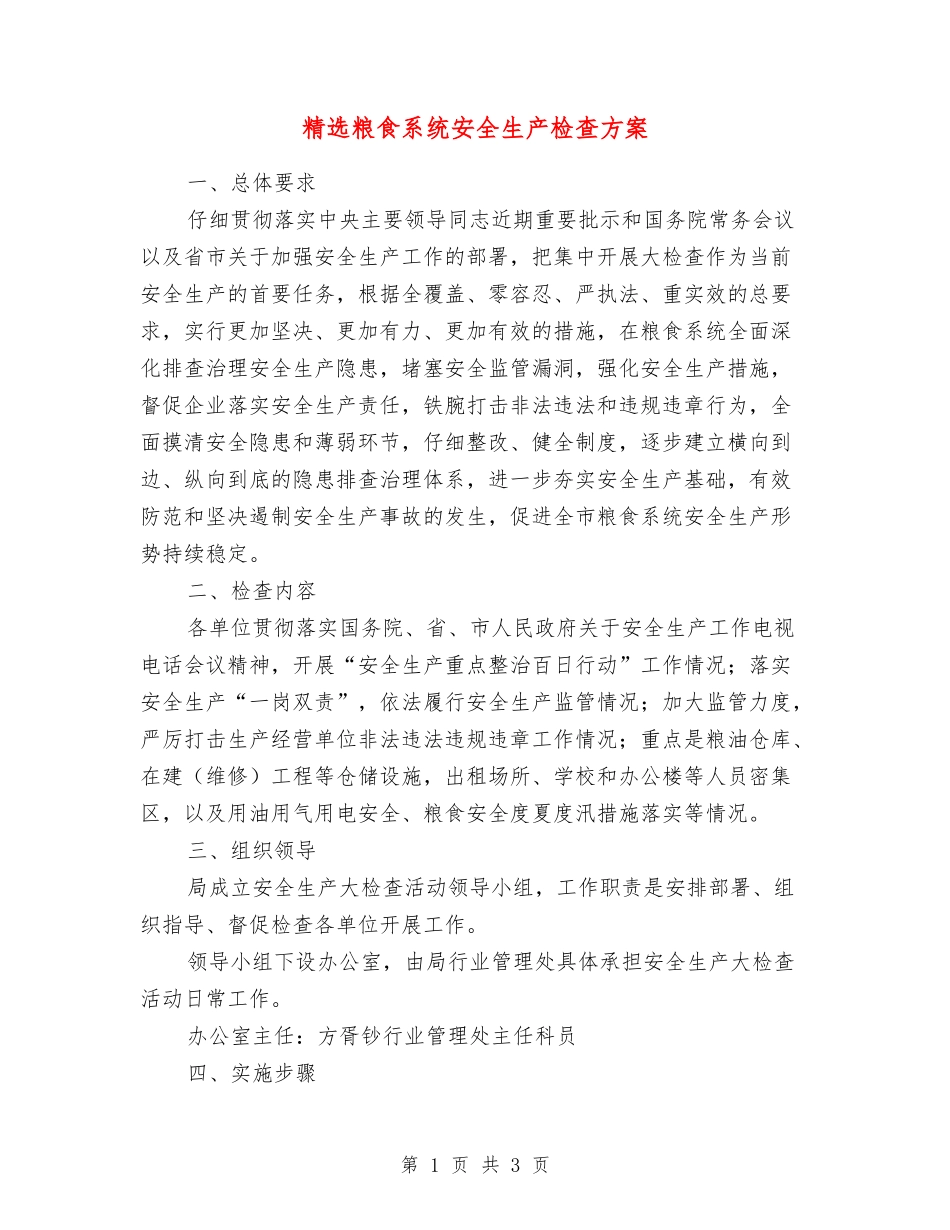 粮食系统安全生产检查方案_第1页