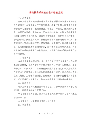 粮食系统安全生产检查方案