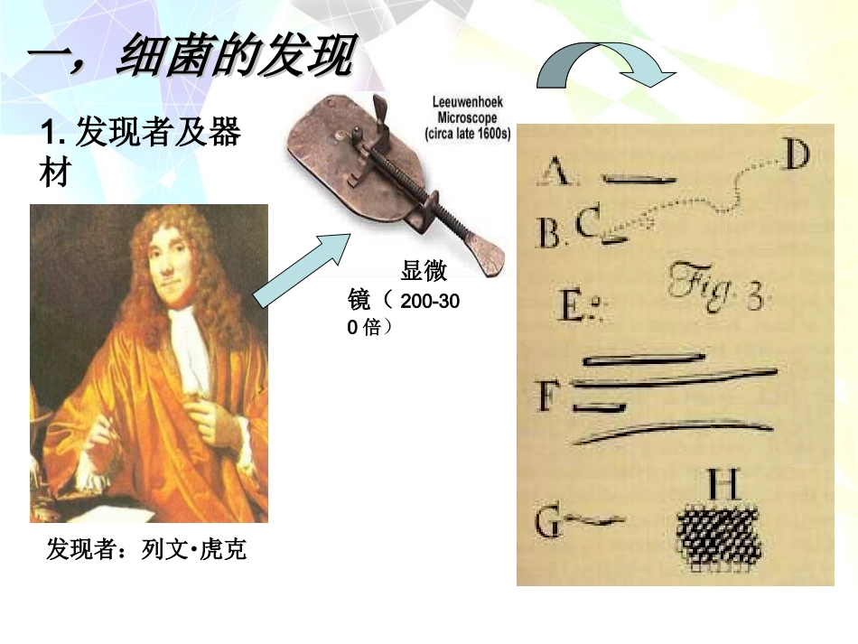 八年级生物上册《细菌》_第2页