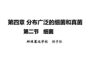 八年级生物上册《细菌》