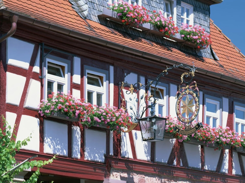 自己花别人看_第2页