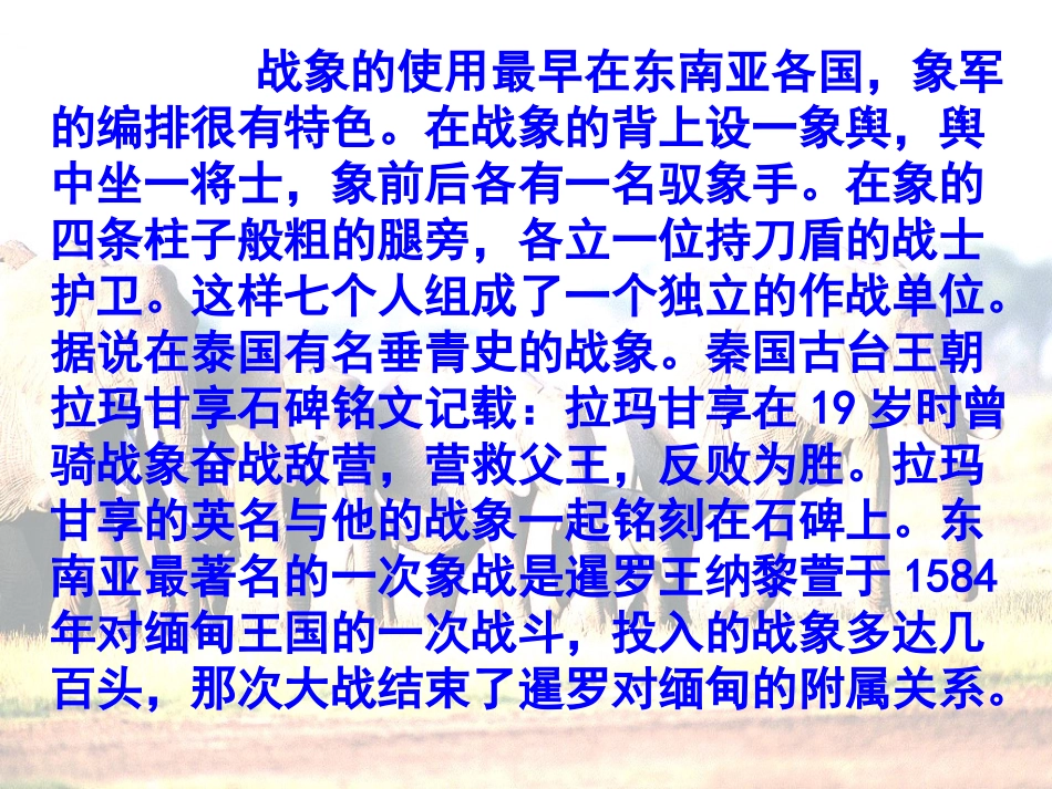 最后一头战象232_第3页