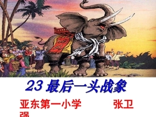 最后一头战象232
