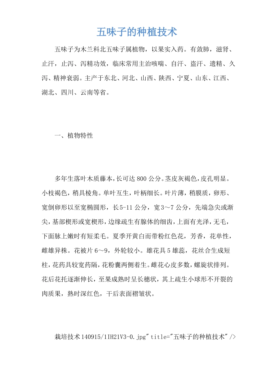 五味子的种植技术_第1页