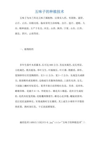 五味子的种植技术