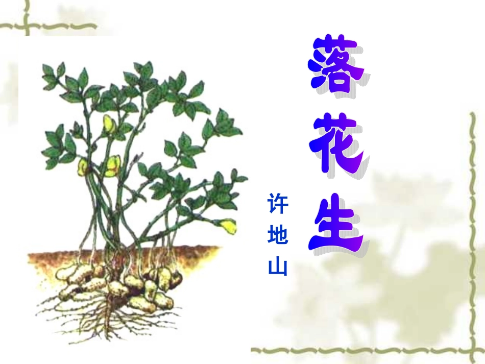 人教版小学五年级语文上册第15课《落花生》_第1页