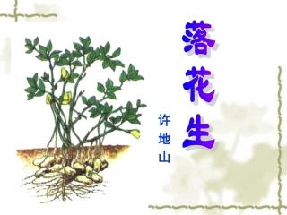 人教版小学五年级语文上册第15课《落花生》