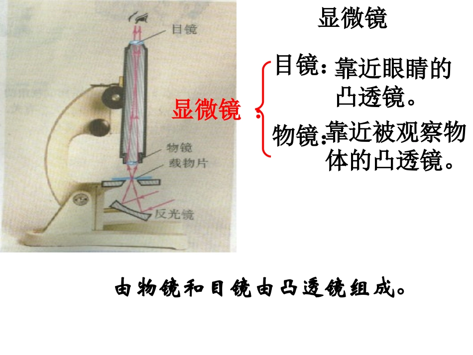显微镜和望远镜_第2页