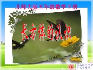 （北师大版）五年级数学下册课件长方体的认识