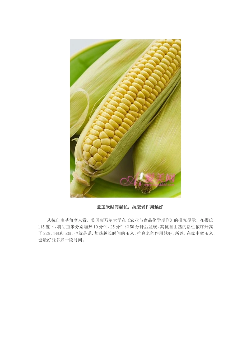 玉米是抗眼睛衰老的极佳补充食物_第2页