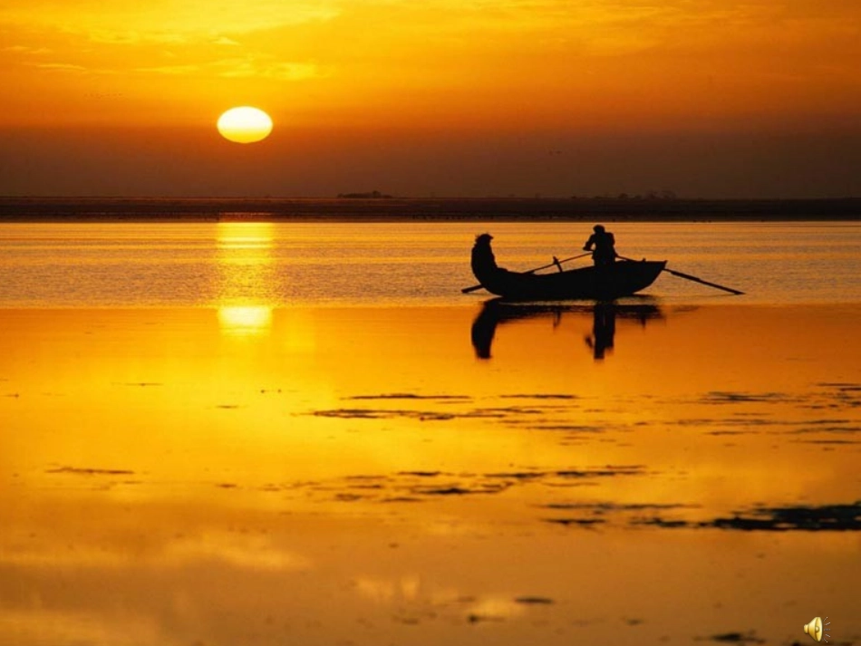 落日的幻觉公开课_第2页