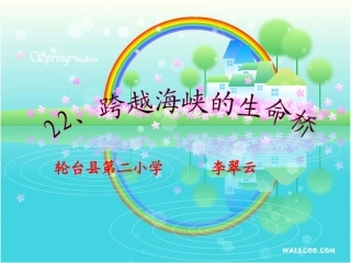 跨越海峡的生命桥