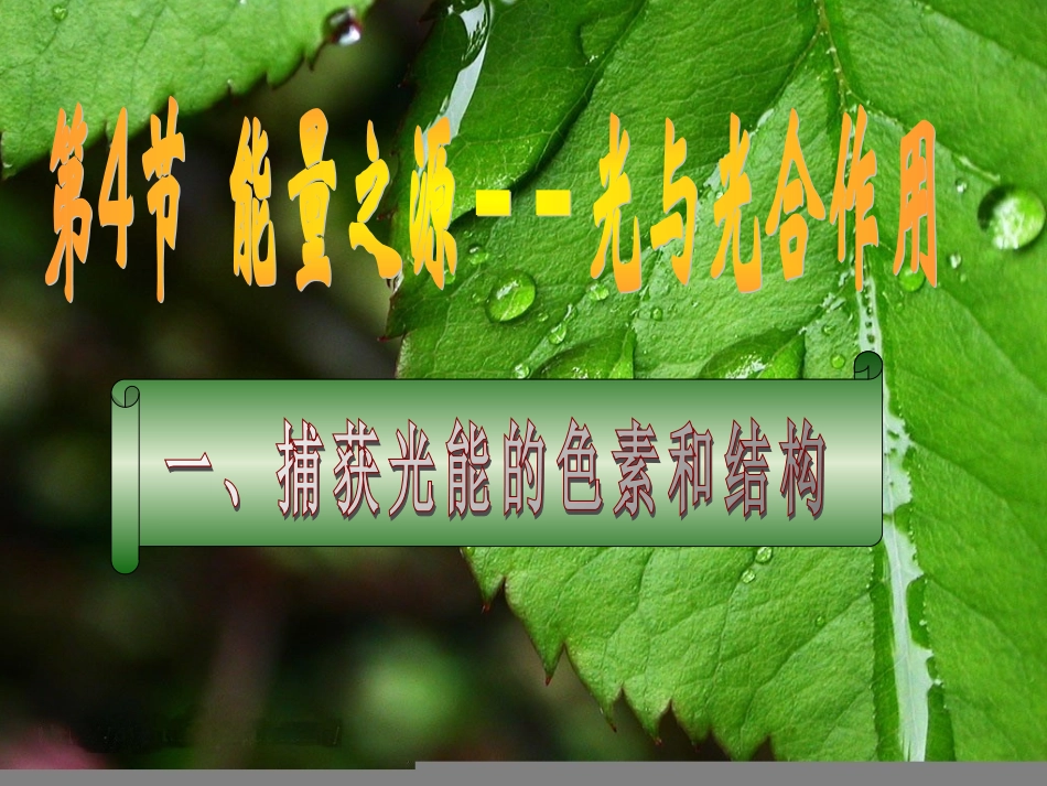光合作用精制课件_第1页