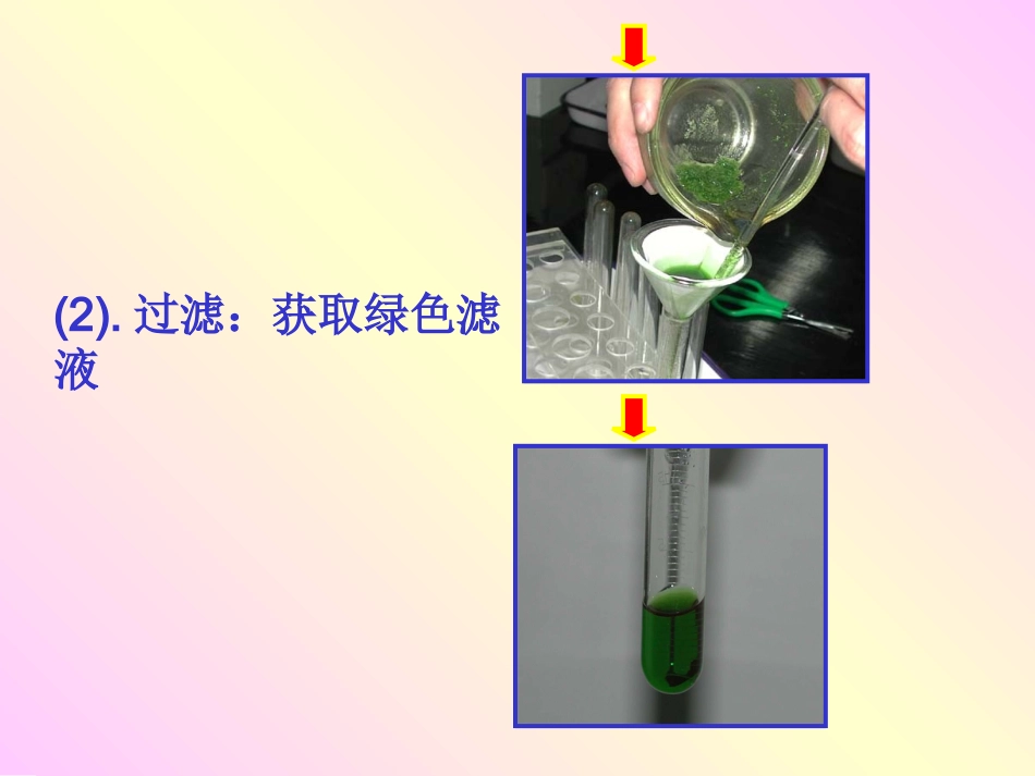 光合作用精制课件_第3页