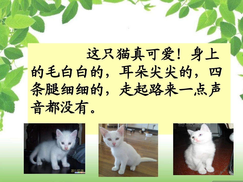 《母鸡》教学设计_第3页