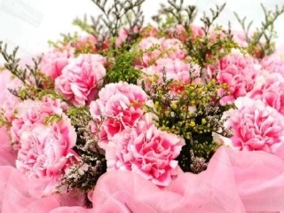 《母鸡》教学设计