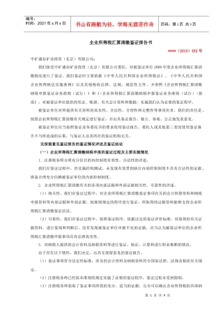 09年新税审报告及说明(无留意见)