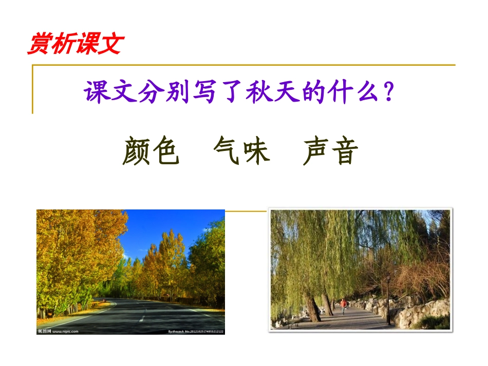 秋天的雨教学课件_第3页