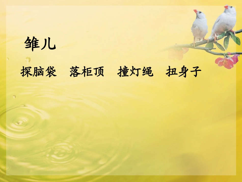 珍珠鸟PPT课件_第2页