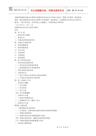 高新技术审计指引