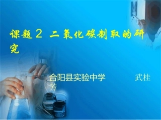 二氧化碳的制取武桂芳2