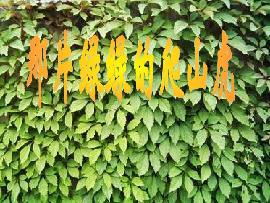 那片绿绿的爬山虎 (2)_第2页