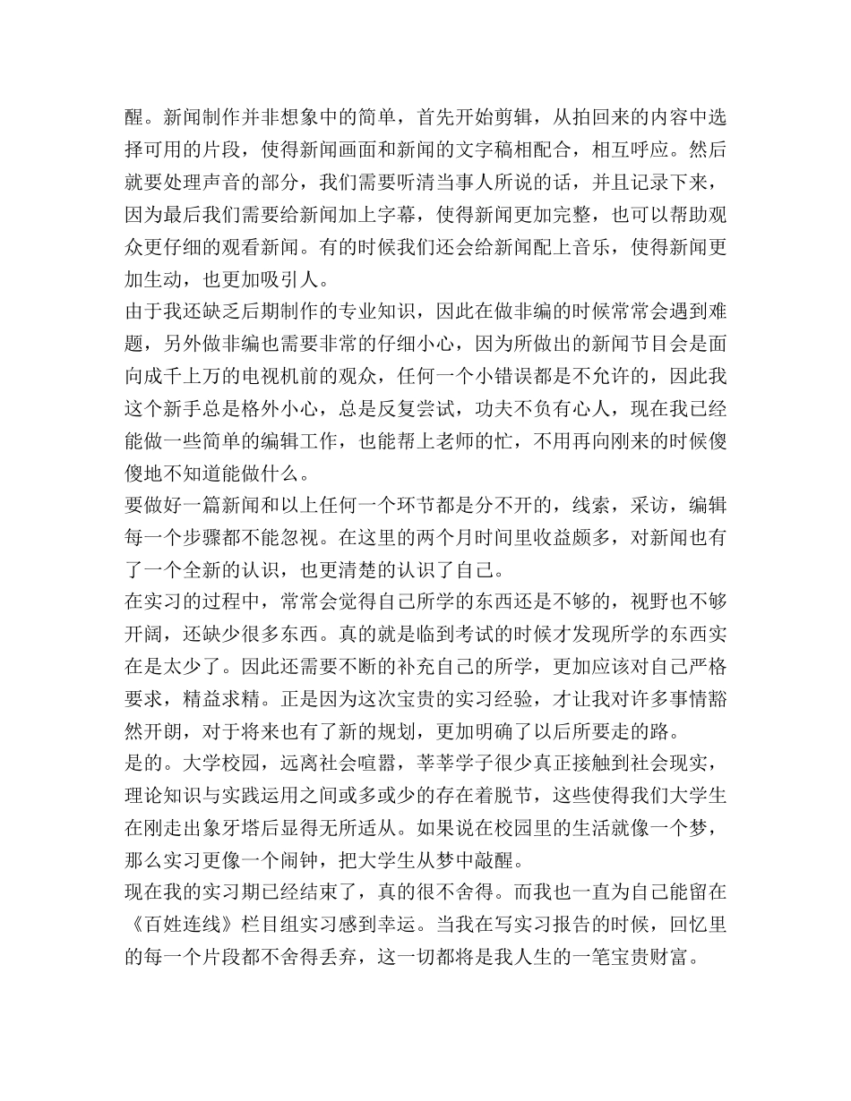 电视台记者个人工作总结（共3篇） _第3页