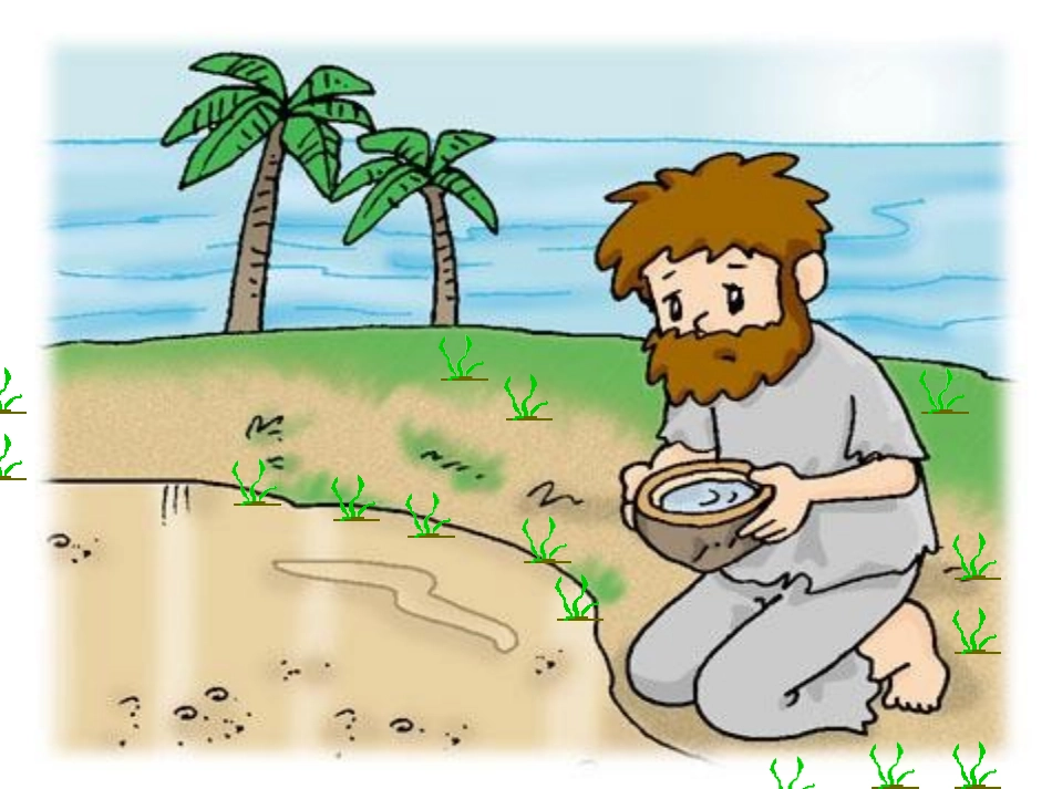 水的净化公开课_第1页