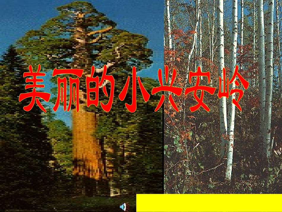 《美丽的小兴安岭》教学课件_第1页
