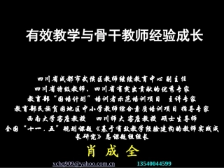 有效教学与骨干教师经验成长