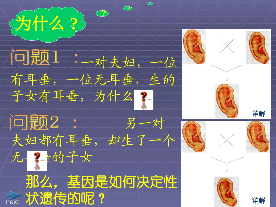 生物：第20章第3节性状遗传有一定的规律性精品课件(北师大版八年级上)_第3页