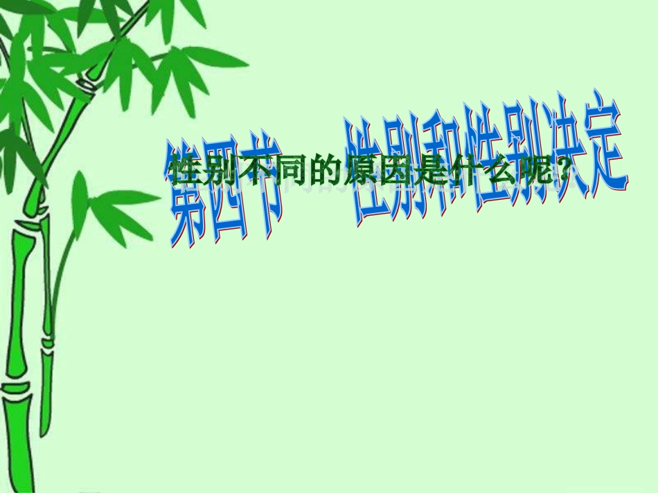 性别和性别决定_第2页