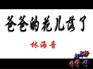 爸爸的花儿落了 (3)