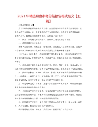 2021年精选月度参考总结报告格式范文【五篇】