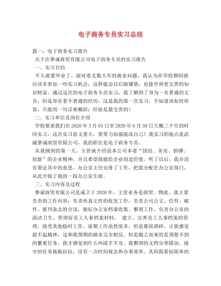 电子商务专员实习总结 