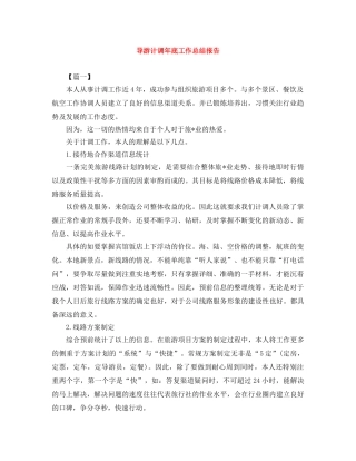 导游计调年底工作总结报告 