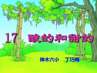 丁巧梅17_酸的和甜的[1]